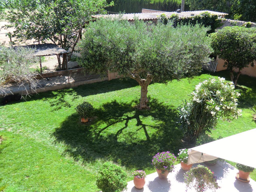 Casa Rural Hipica Mas Paguina L'Estartit Zewnętrze zdjęcie