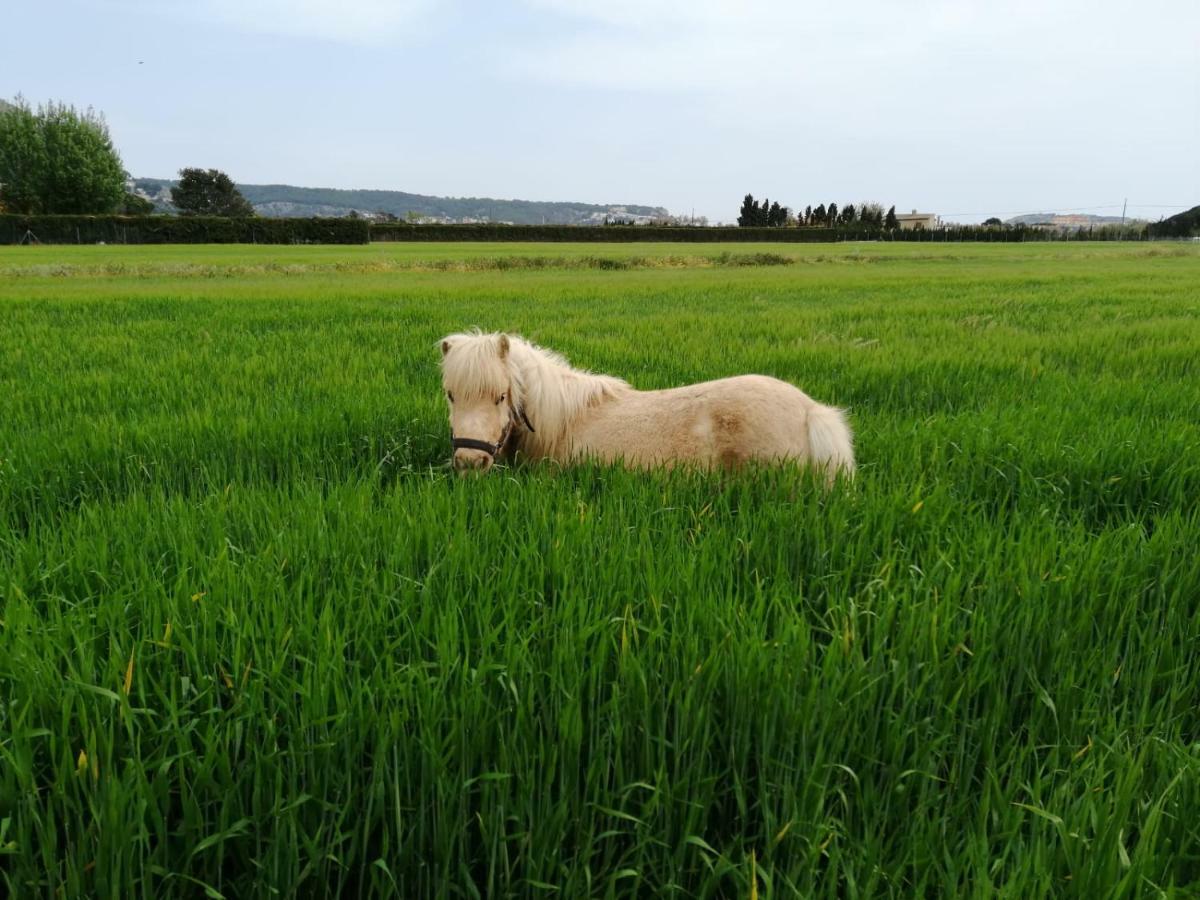Casa Rural Hipica Mas Paguina L'Estartit Zewnętrze zdjęcie